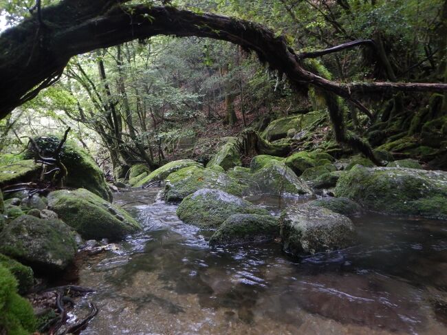 途中で「南アルプスの天然水」のCMが撮影された場所もあった。<br />水が豊富だからそういった撮影も出来るんだね。