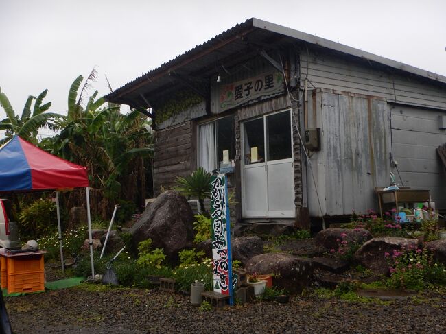 空港に行く途中で金井ガイドお勧めの「かからん団子」をお買い上げ<br />ヨモギがたーくさん入ったお団子