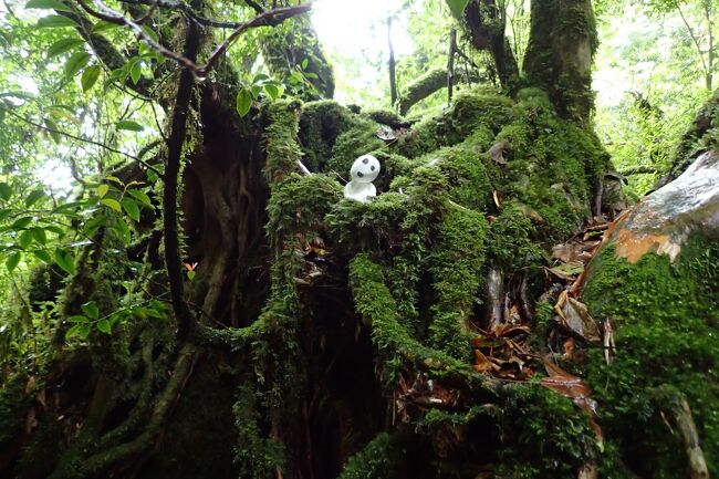 紙粘土持ってきて人形作って遊ぶご主人様<br /><br />もののけ姫に出てくるキャラクター？<br />見てないので判らない…<br />