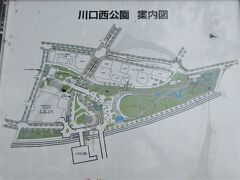 川口西公園 <リリアパーク>（埼玉県川口市川口）

1990年に開業した川口総合文化センター・リリアの建設と一緒に整備されました。
