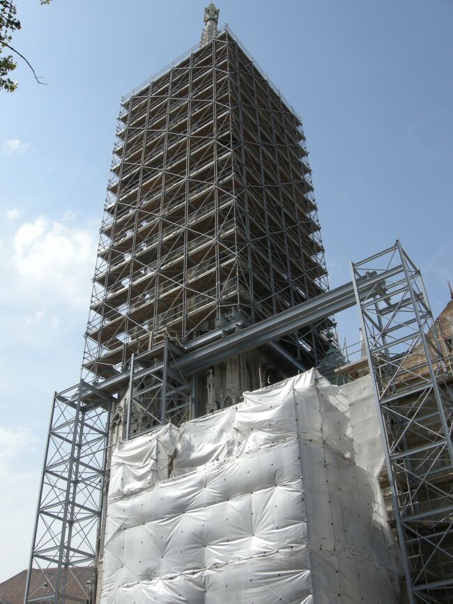 塔も去年に引き続き足場で囲まれている。<br />繊細な彫刻がある美しい白い塔が、更に白く蘇るのだろうか？