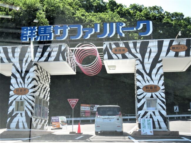 群馬お泊まりレッサーパンダ遠征２園 ３ 群馬サファリ 前編 高知からマロンちゃんがやって来てレッサーパンダ室内外３交代となったバードパーク 富岡 甘楽 群馬県 の旅行記 ブログ By まみさん フォートラベル