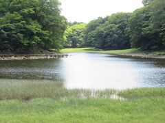 大沼（栃木県那須塩原市塩原）

大沼湖畔デッキもあって、足もとは安心です。
この土地ならではのトンボやモリアオガエルの生息地らしいですが、肉眼ですぐに見つかりそうもありません。