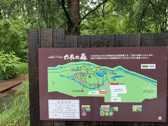 六花の森に到着ですが、土砂降り中なので入園するかどうか悩む。
そんな中、バスから降りて来た女性団体は雨など気にせず進んで行く。
ここは男の子、がんばらなくちゃと入園を決める。
その女性団体は北海道８ガーデン巡りツアーの方でした。凄いなとため息が出る。