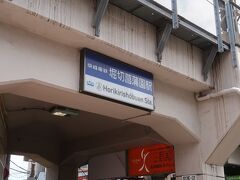 京成本線で堀切菖蒲園駅へ。駅の改札を出ると何やら賑やかで人だかり。