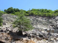 新湯爆裂噴火口跡
あれ？　今朝はあまり湯けむりが出ていないぞ！　温泉はしっかり温度が熱かったけど。

さて、八方ヶ原経由で栃木県民の森にも寄りながら帰ることにします。