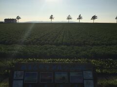 メルヘンの丘を越えて空港へ
もう少し後なら夕日と重なるね