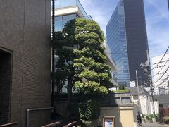 田町駅から原宿駅まで電車で行き
やってきたのは手ぬぐいやさんのかまわぬです
1枚だけ買いました

次はお昼ごはん！