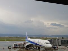 ANAトクたびマイルは大阪（神戸）～東京便がほぼ毎回設定されています。今回は
関空―羽田の設定があったため、それを往復6000マイルで利用しました。
午後の早い便は満席だったので15:45出発の便にしました。
しかし、14時頃から関西空港近辺は豪雨と雷の悪天候。滑走路が1本閉鎖されていたこともあり、なかなか出発できず約1時間遅れで関空を飛び立ちました。