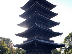 早朝の東寺を僧侶の案内付きで拝観しました。
中に入れないけど、五重塔の初層は全扉開放で四方から覗くことができました。