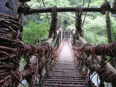 祖谷のかずら橋・・・平家伝説が宿る祖谷観光のスリルスポット

日本三奇橋のひとつ、国指定重要有形民俗文化財

追っ手から逃れるために、いつでも切り落とせるようにと、かずらという植物で架けたという平家伝説ゆかりの橋

長さ45m、幅2mの吊り橋で、橋の14m下には祖谷川が流れています

実際に渡ると間隔が広めの踏み板の隙間から川面がのぞき、橋がユラユラ揺れたりもします

通行料（550円）支払って、一方通行で、１回きりのドキドキ体験

祖谷のかずら橋ならではのスリル体験した後は、緑深い渓谷美に癒されました