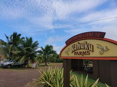 はい、次！
ロミーズからほど近いカフクファーム