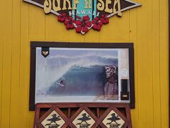 サーフ・アンド・シー