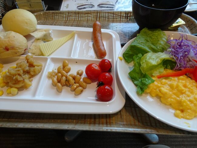 ブッフェの食事内容<br />野菜も多く、自己満足の内容でした。