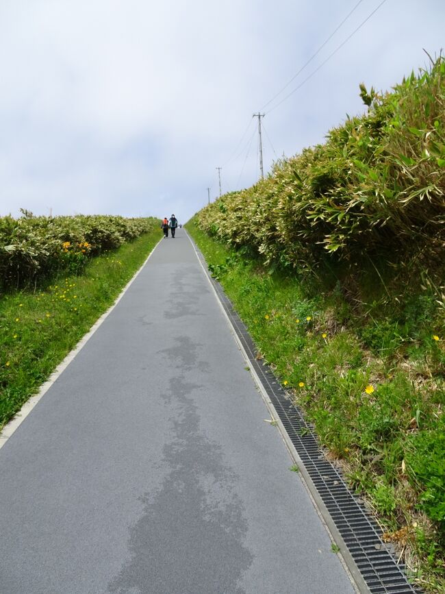 途中は雨だったので、小樽市内観光に変更しようか迷ったのですが、とりあえず行ってみました。<br />神威岬は曇り空ながら晴れ間も見え、先端まで歩こうと決心しました。