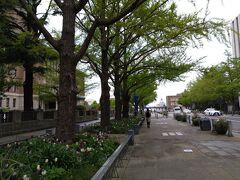 日本大通り沿いにある神奈川県庁です。
歴史ある建物です。