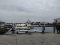 正面には横浜港大さん橋国際客船ターミナルが見えます。
ちょうど豪華客船が停泊していました。

③に続く