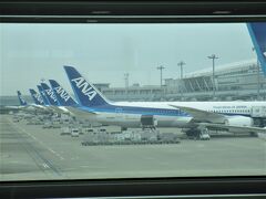 羽田空港第二ターミナル
ＡＮＡ便がズラリと並んでいました。