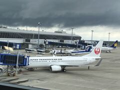 72 JTA47 中部→那覇
3度同じ機体です。
クルーは変わっておりました。