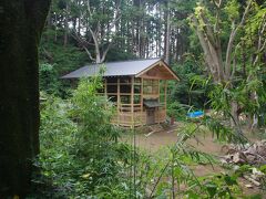 牛頭天王様の８人の子を祀っている八王子神社へお参りしました。