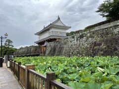 鶴丸城址にやってきました