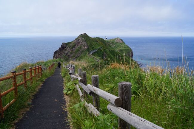 まだ舗装されていて余裕です。