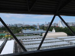 東京国際クルーズターミナル駅