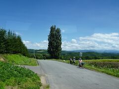 続いてケンとメリーの木・・覚えてますよ、コマーシャル
バスのコース説明には載ってなかったのに、車窓から案内してくださって、とってもお得感あるコースです。