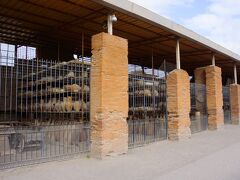 ジュピター神殿とアポロ神殿の間にある大きな「穀物倉」。現在は出土品9千点以上を保管する倉庫として使われています。穀物倉には、噴火の犠牲者や犬の石膏型も保存されています。