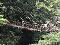 　祖谷のかずら橋　「いや」と読むとは知りませんでした
　先客が写真を撮っていました。