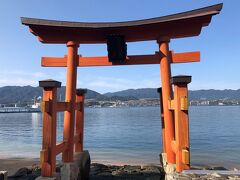 長浜神社
今回厳島神社の大鳥居が工事中で見れないので、
まずはこちらに。
ここもとってもいい景色です。

