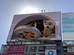 東京・渋谷

時計は円盤？