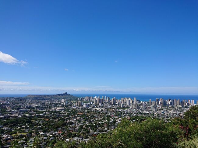 遮るものなくて広々としてポストカードみたい