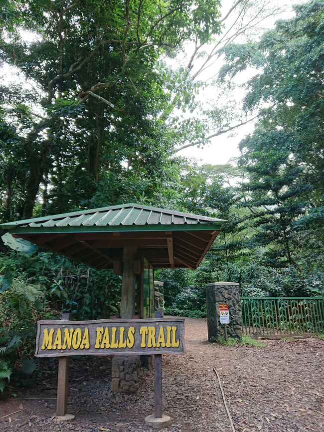 マノアの滝行きました