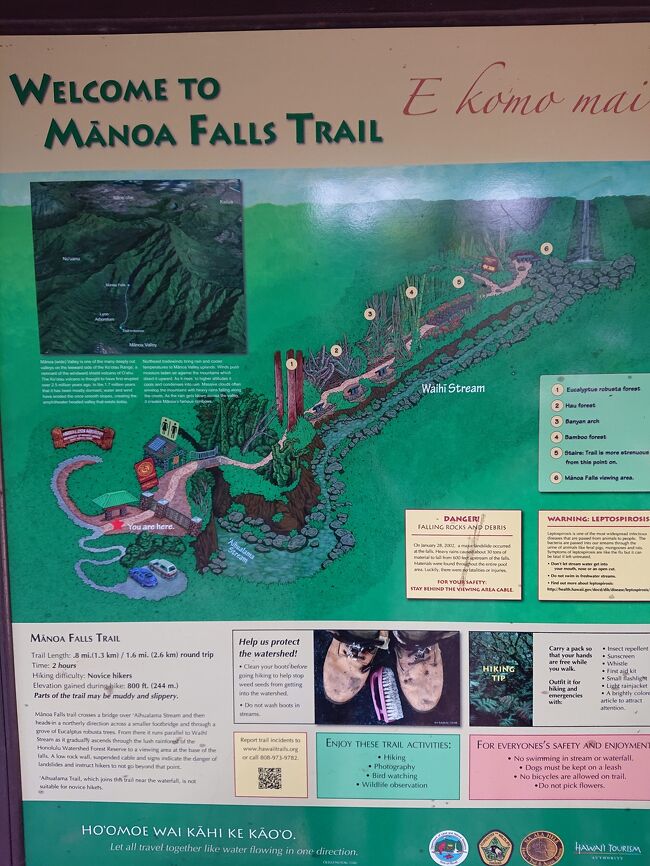 そんな難しくなかったです