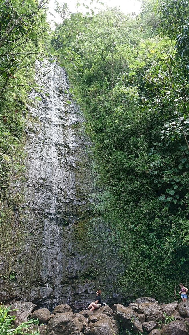 これがマノアの滝<br />水量のない時期だったので、ちょっとがっかりー
