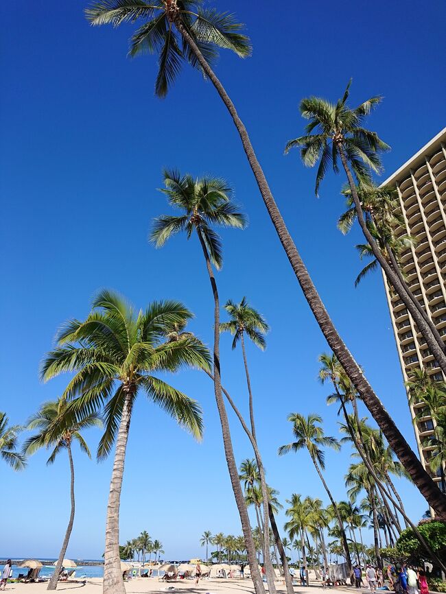 あーまさかこの景色があと3年も見れなくなるなんて…