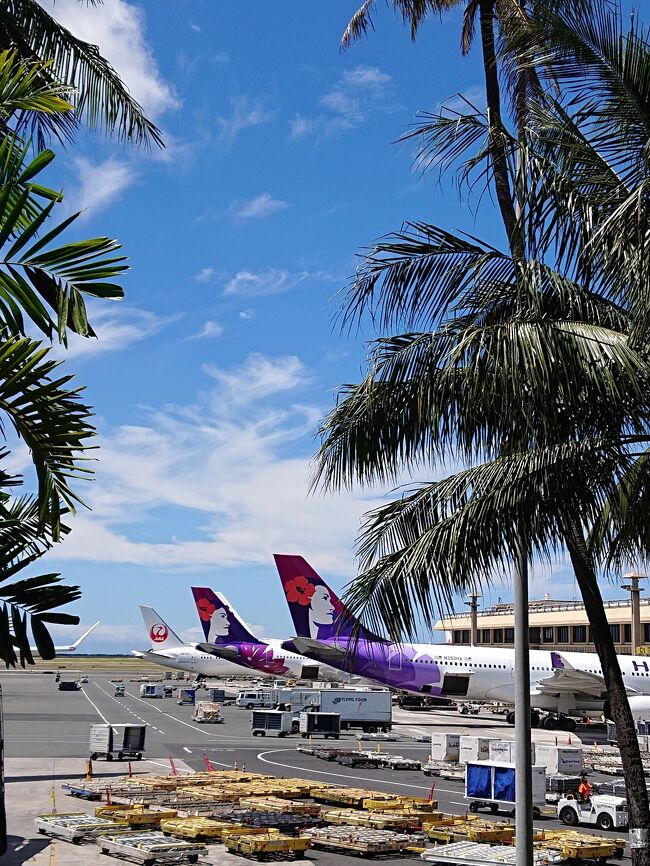 かわいい絵だこと