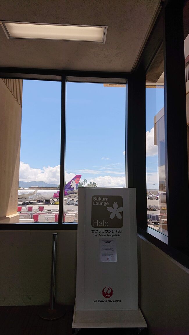 サクララウンジハレにもいきますよ