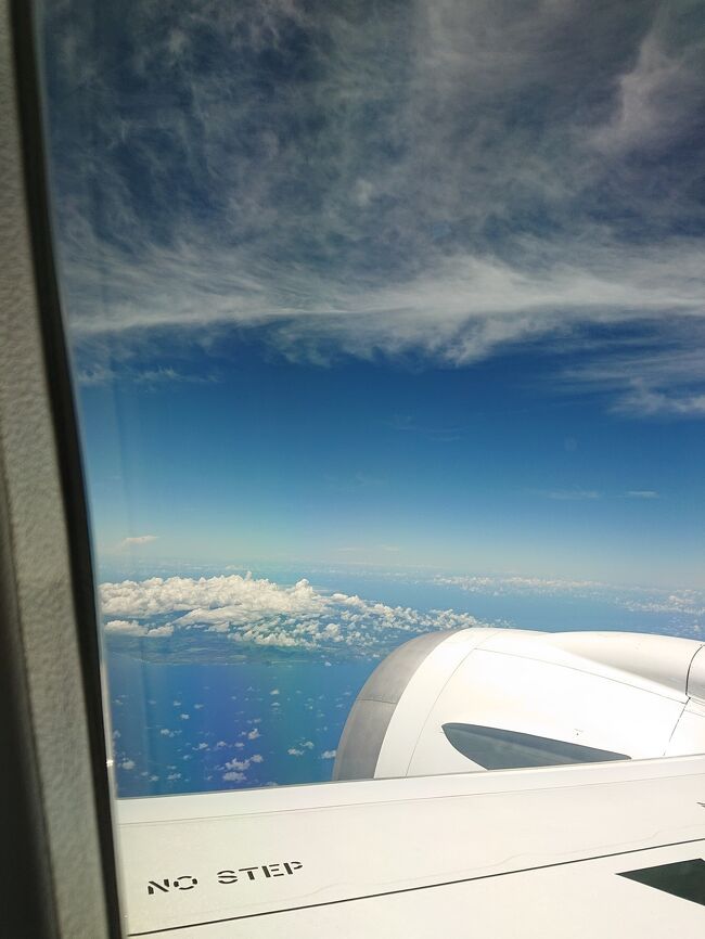 会えたらいいな