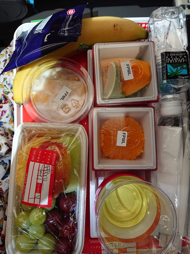 パパと娘は機内食タベれないのでフルーツミール