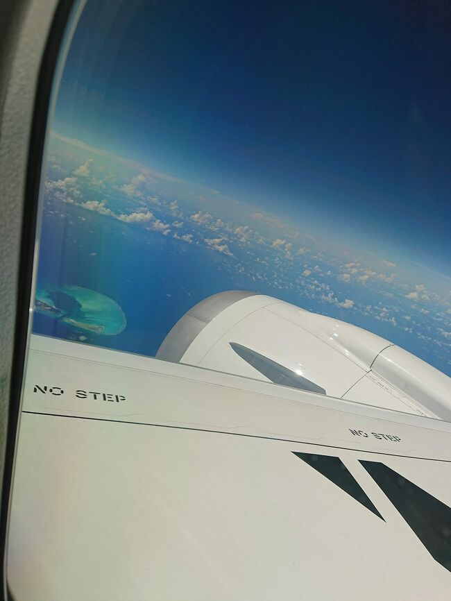 ミッドウェー諸島だつけ？<br />めちゃキレイだった