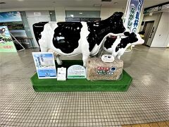 中標津空港に到着しました
牛がお出迎えしてくれます