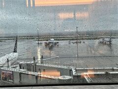 早朝の羽田空港です
この日は朝から雨でした。

