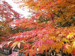 北野天満宮 (天神さん)