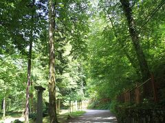 ブレッド湖畔の遊歩道。
緑がきれい。