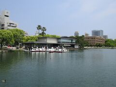 大濠公園のコインパーキングに車を停めました。

街中に、こんな大きな池と自然の残った公園があります。