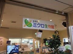 特筆すべきは「ミクロ生物館」という施設があります。これは日本でも珍しい「ミドリムシ」や「珪藻類」といった微生物を展示、観察できる博物館です。もちろん無料です。