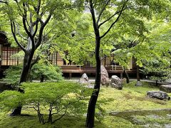 建仁寺
しとしと雨に濡れて緑が濃い。
