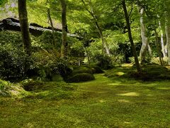 ■１日目（晴）
京都駅11時過ぎ着～宿～嵐山～嵐山よしむら（昼食）～野宮神社　を経て、
祇王寺
ひそやかで美しい。ずっと眺めていたい。